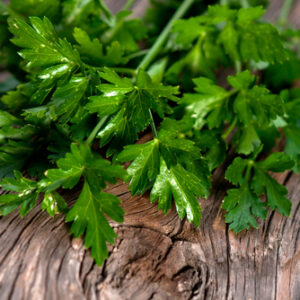 Perejil - 1 Manojo