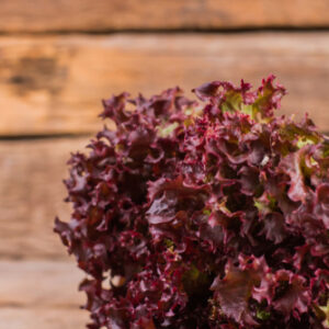 Lechuga Lollo Rosso - 1 Unidad