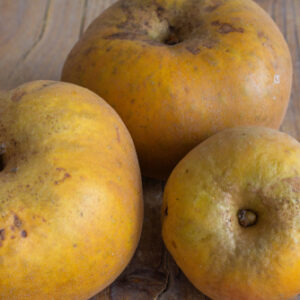 Manzana Reineta - 1 Kg