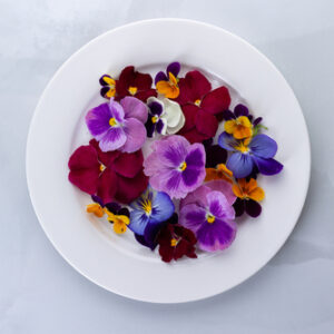 Flores mini pensamiento - 1 Bandeja