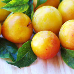 Ciruela Amarilla - 1 kilo