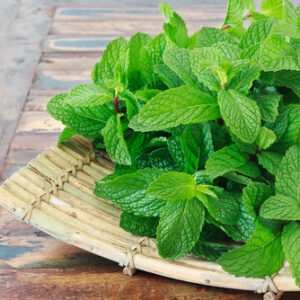 Hierbabuena - 1Manojo grande