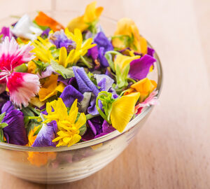 Flores comestibles mixtas - 1 Bandeja