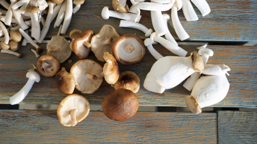 Mix Setas exótico - 1 Bandeja