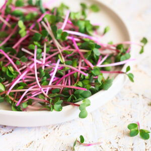 Germinado de Rábano - 80gr