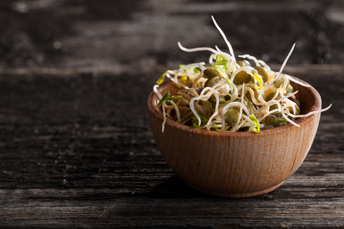 Germinado de Lentejas - 100gr