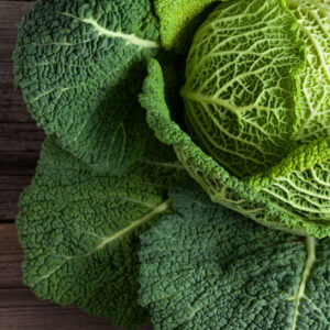 Col de Milán " Rizada" - 1 Unidad