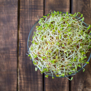 Germinado de Alfalfa - 100gr