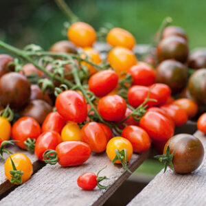 Tomate cherry mix colores - 300gr