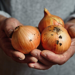 Cebolla común - 1Kg